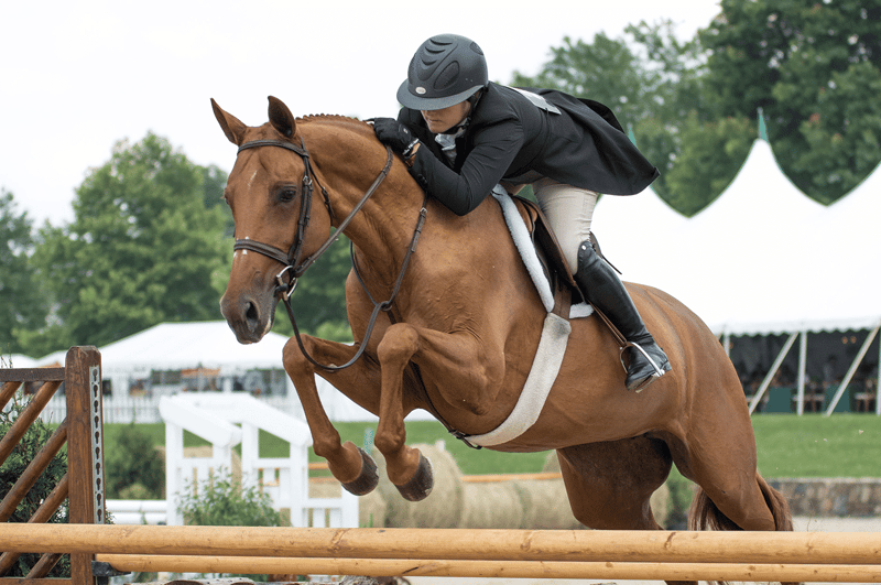 Maryland Horse & Pony Show